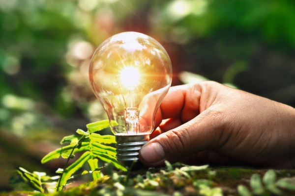 lightbulb in front of plants depicting sustainabiity